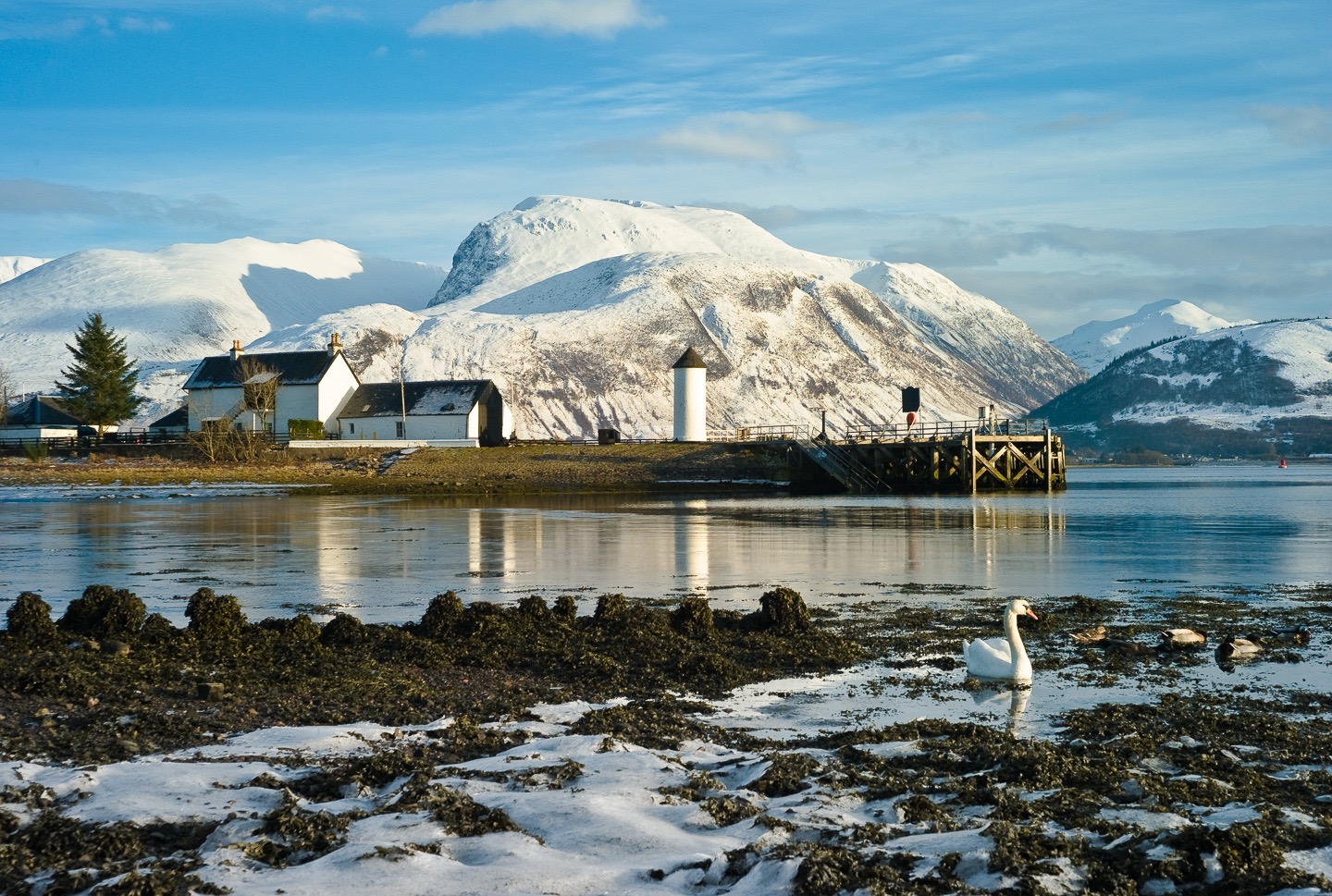 The Swan in Winter... (Ben Nevis from Corpach)